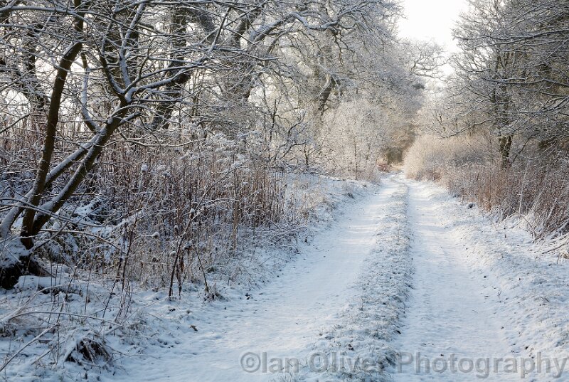 28 Winter near Mellerstain 28 Winter near Mellerstain