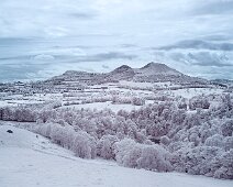 L057 In a different light IR L57 In A Different Light IR (Edition size 50)