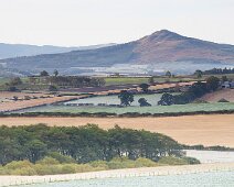 L049 L049 Rubers Law from Lilliards Edge (Edition Size 25)