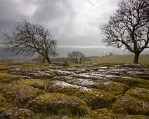 L002 Clints Crags L002 Clints Crags (Edition size 20)