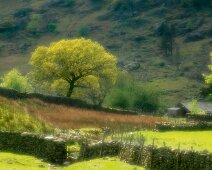L056 Borrowdale in soft focus L056 Borrowdale in Soft Focus (Edition size 30)