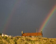 L126 Rainbow Cottage copy L126 Rainbow Cottage (Edition size 30)