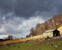 U071 Lakeland Barn U071 Lakeland Barn