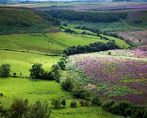 U087 Hole of Horcum U087 Hole of Horcum