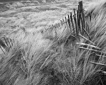U089 Blowing in the wind U089 Blowing in the wind